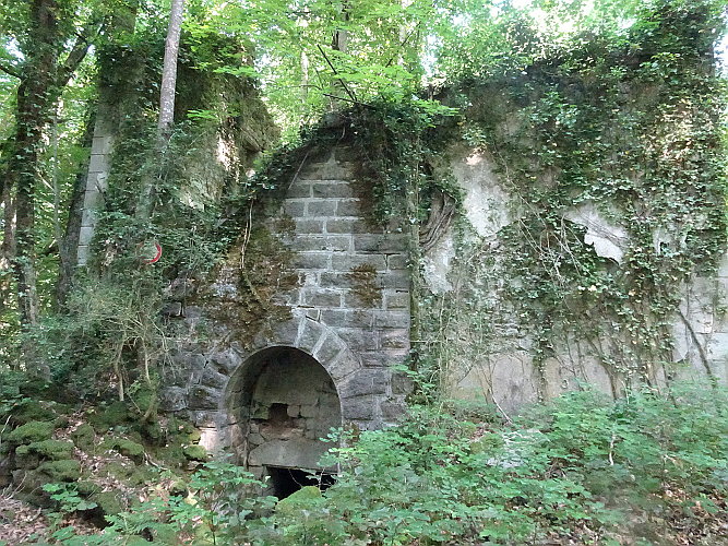 29DSC06979